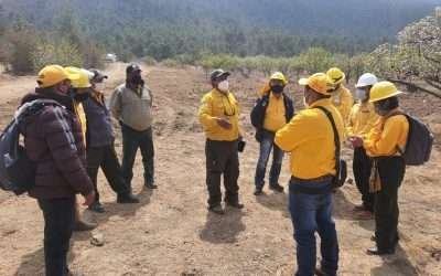 Atiende personal forestal incendio en Isla Guadalupe