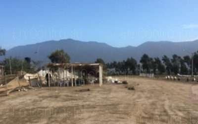 Un muerto y 5 lesionados en palenque clandestino