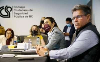 Emprenderemos una Nueva Cruzada por la Seguridad: Marina del Pilar