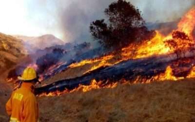 Redobla Ayuntamiento esfuerzos con autoridades para atender temporada de incendios forestales