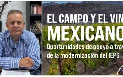 Propone Gerardo Novelo condiciones más competitivas para industria Vitivinícola
