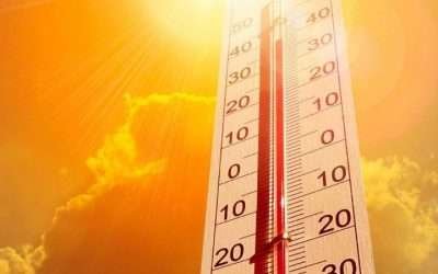 Llama Gobierno de Ensenada a tomar precauciones por altas temperaturas
