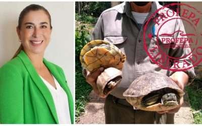 Quedaríamos desprotegidos si cierra PROFEPA: Carmen Salazar