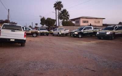 Tras 10 horas de operativo, capturan a homicida en San Quintín