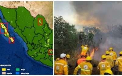 Emiten alerta ante posibles incendios forestales en Baja California