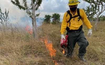 Capacita CONAFOR a brigadistas forestales