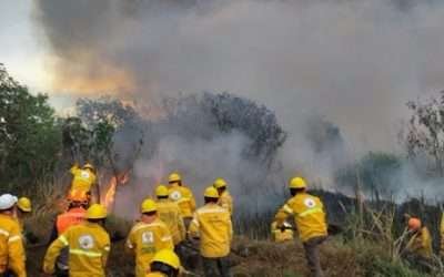 Advierten aumento del 60% en incendios forestales