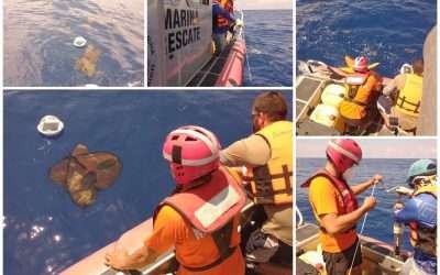 SEMAR y UABC liberan sondas oceanográficas en Quintana Roo