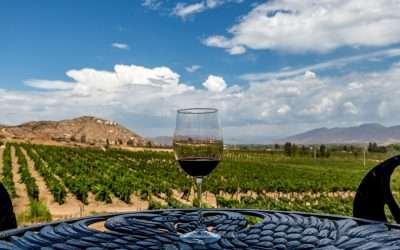 Celebra alcalde distinción a Valle de Guadalupe como destino hospitalario de México