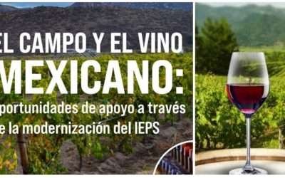 Hoy, foro sobre el Campo y el Vino Mexicano
