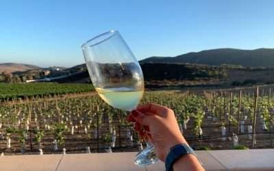 Vinos de BC reconocidos por enólogos nacionales e internacionales