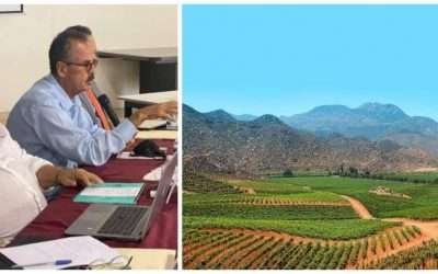 Denunciará Estado a desarrollo habitacional de Valle de Guadalupe
