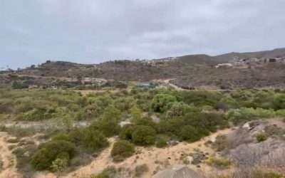 Celebran creación del «Parque Estatal Arroyo San Miguel»