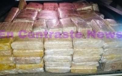 Localizaron casi media tonelada de droga entre exclusivos fraccionamientos