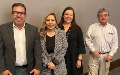 Deben priorizar en presupuesto federal, la salud, economía y seguridad: Lizbeth Mata