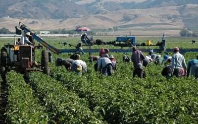 Vacunarán contra Covid19 a 600 migrantes de San Quintín