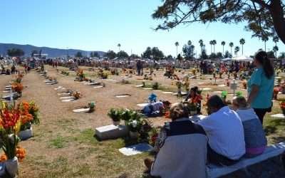 Realiza Dirección de Alcoholes y Comercio inspecciones por Halloween y Día de Muertos