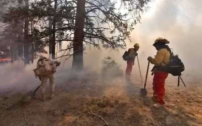 Controlan incendio en «Botella Azul» del Parque Nacional Sierra de San Pedro Mártir