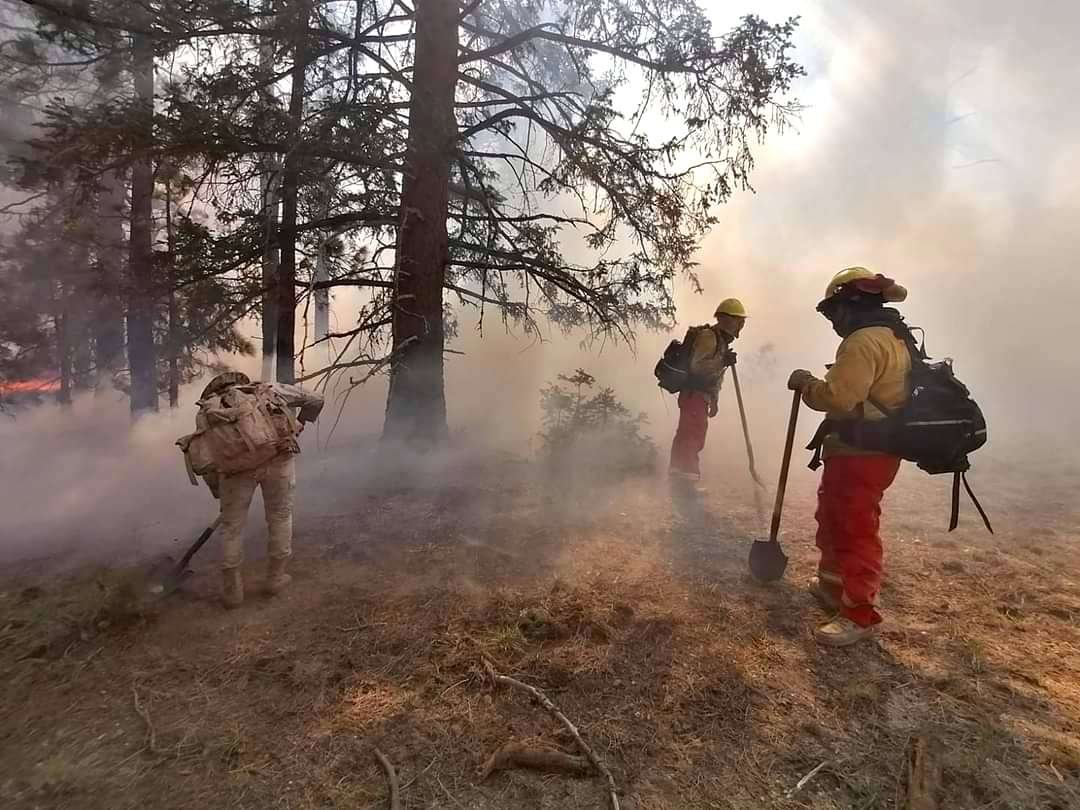 Incendio PNSSPM 