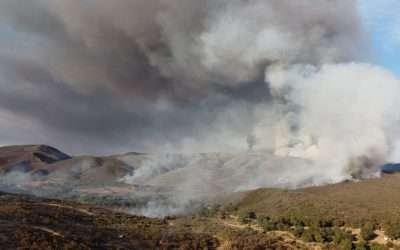 Consume 80 hectáreas incendio en San Antonio de las Minas