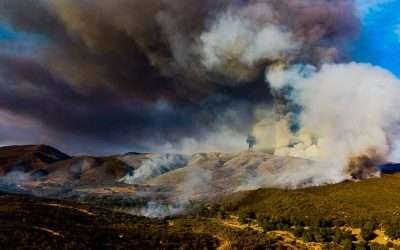 Más de 2 mil hectáreas consumidas en incendio forestal