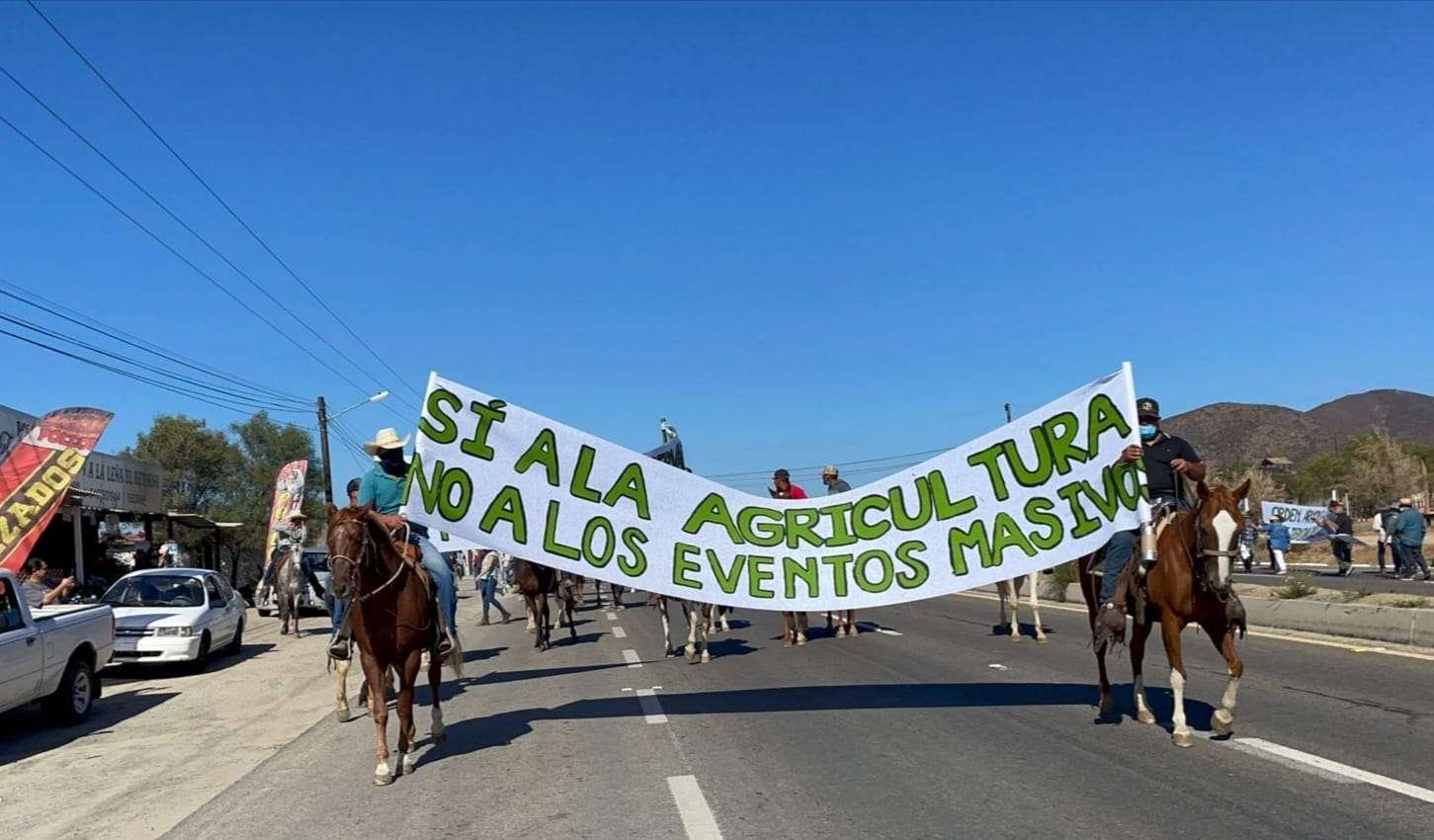 marcha Valle de Guadalupe