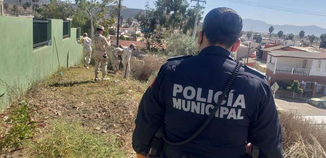 Prevención del Delito