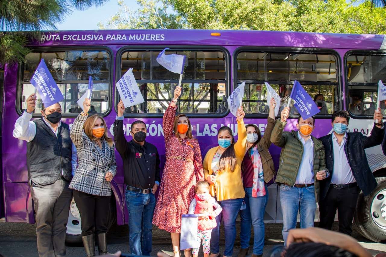 Transporte violeta