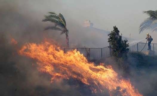 Incendio forestal