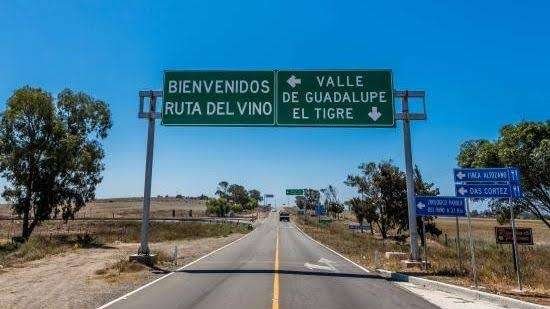 Ruta del Vino