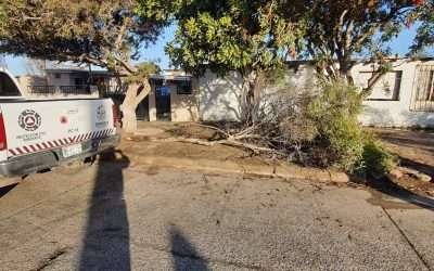 Incidentes menores tras lluvias en Ensenada