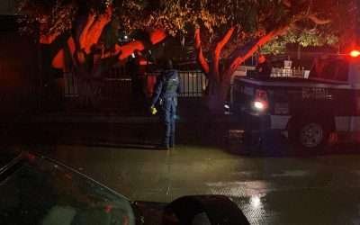 Triple homicidio en las Lomitas