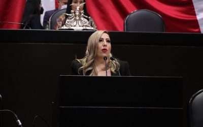 A favor de acción de inconstitucionalidad contra Presupuesto de Egresos: Lizbeth Mata