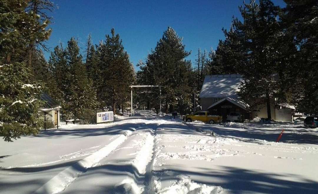 Nevadas