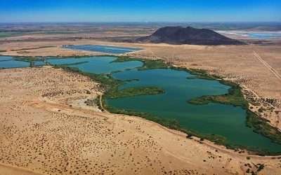 Humedal «Las Arenitas»; un hogar para especies endémicas y migratorias