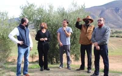 Busca gobierno de BC soluciones para ordenamiento del Valle de Guadalupe