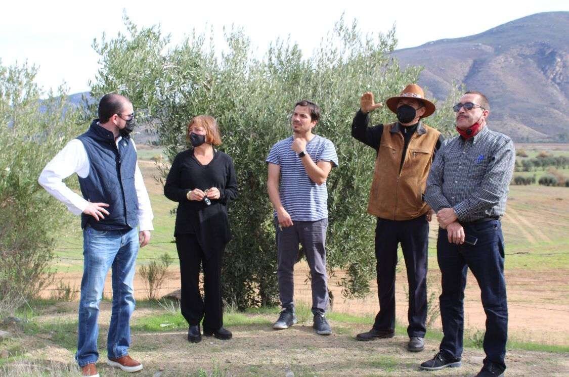 ordenamiento valle guadalupe