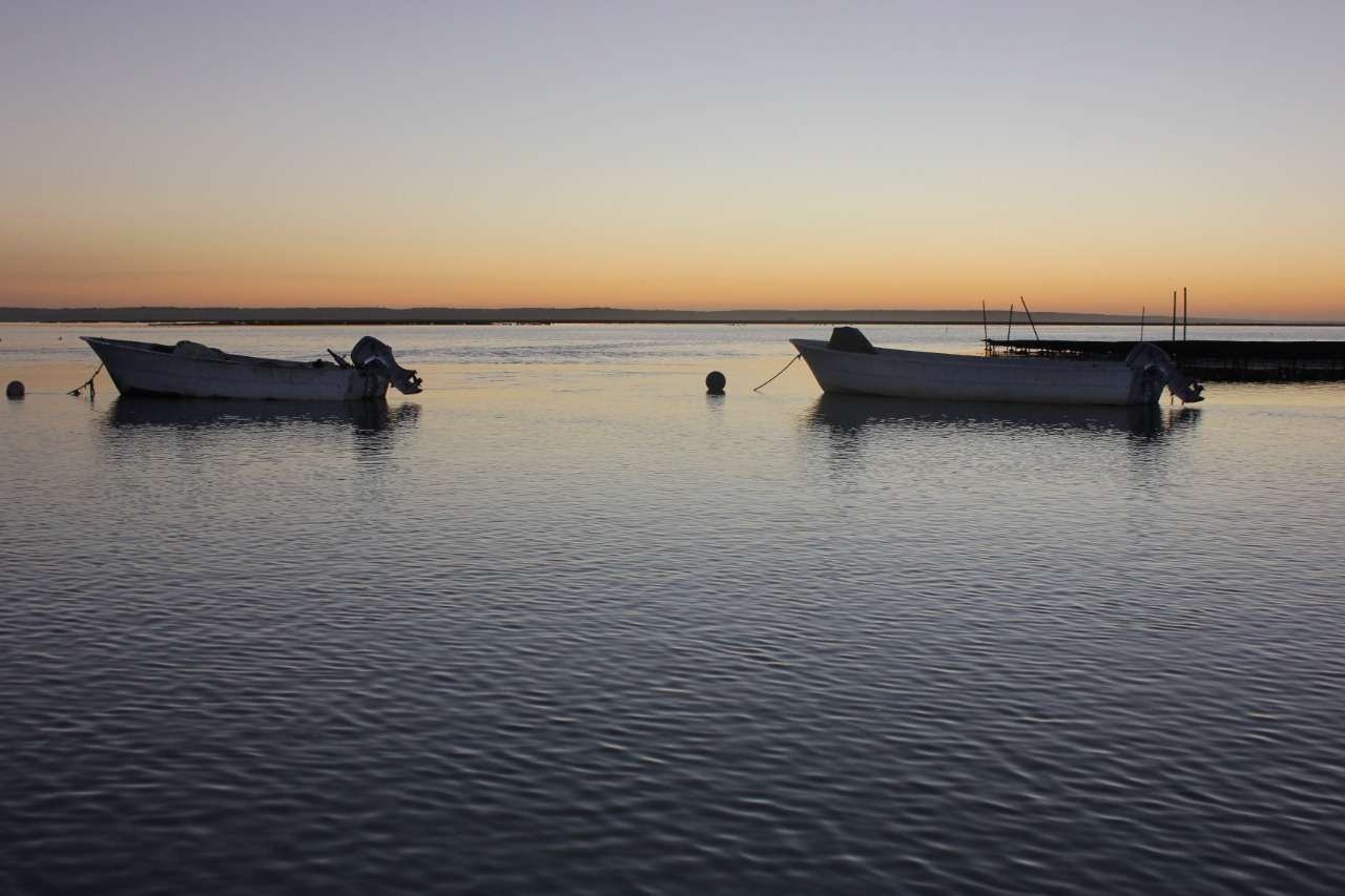 pesca