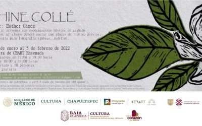 Iniciará CEARTE Ensenada actividades académicas y artísticas