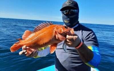 Participan mas de 100 pescadores en 1er Torneo de Pesca Deportiva «JackPot»