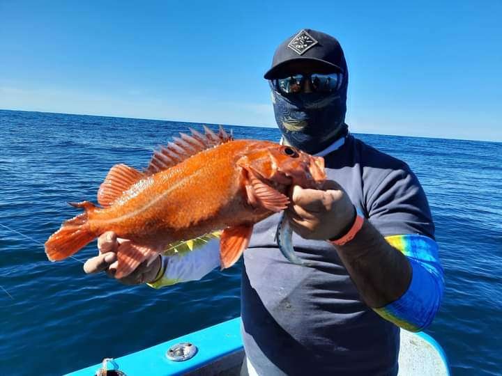 pesca deportiva