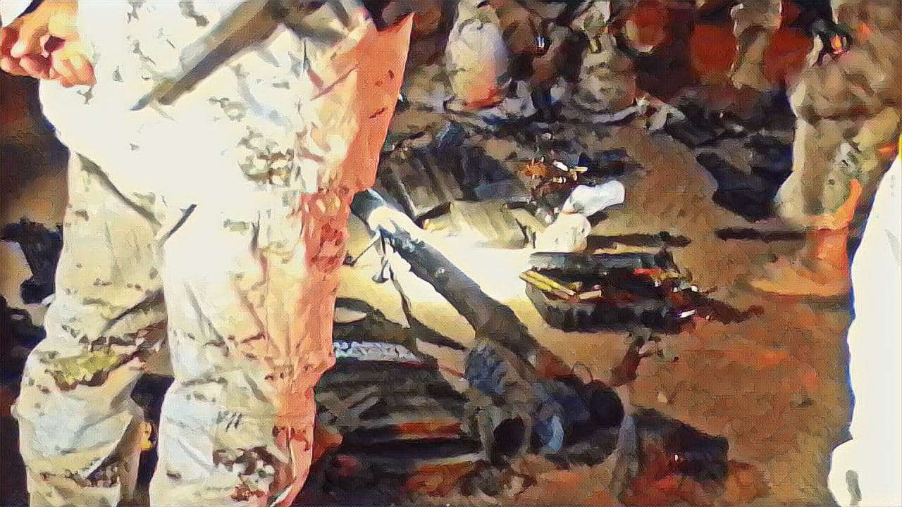 operativo militares