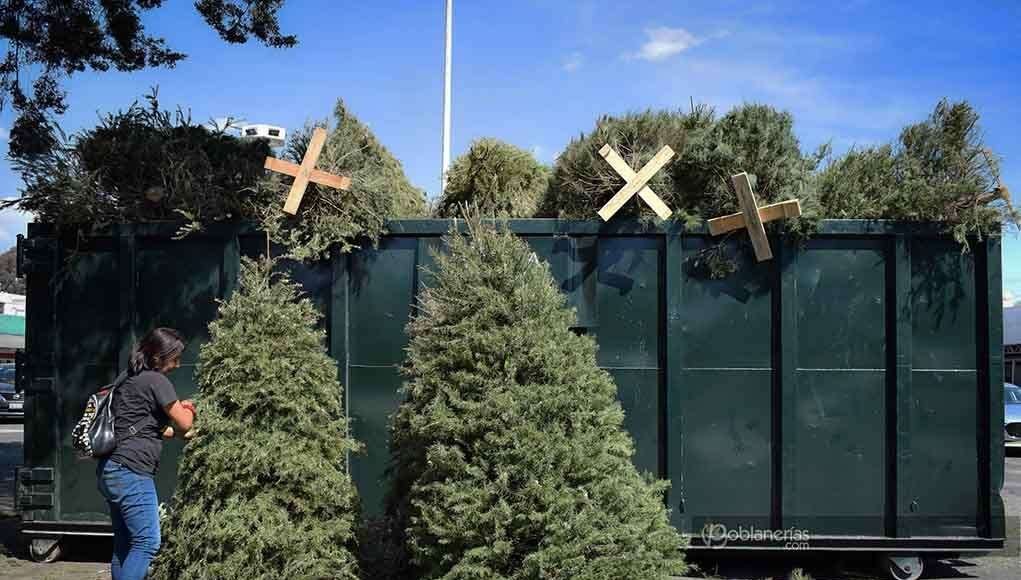 arboles