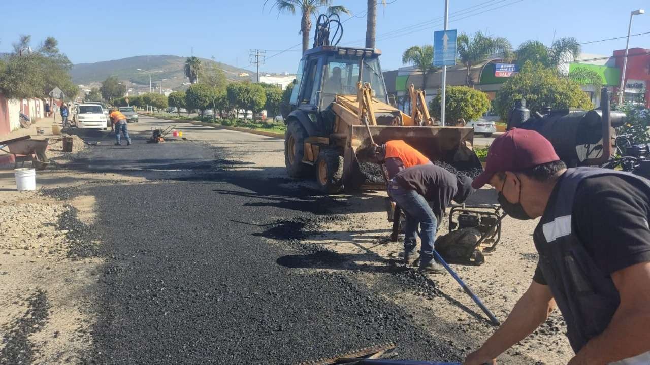 bacheo