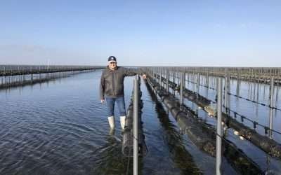 Tiene BC potencial acuícola en 94 mil hectáreas de litorales: CANAINPESCA
