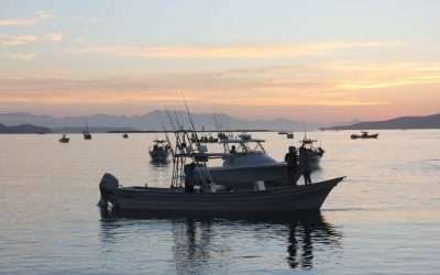 Genera pesca deportiva más de 387 mdp anuales a BC: SEPESCA