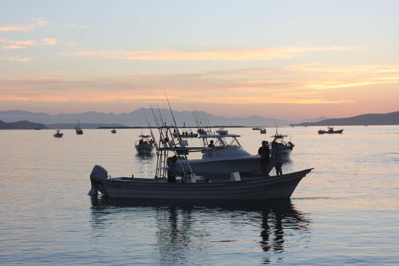 pesca deportiva