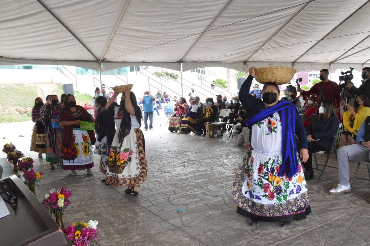 indigenas