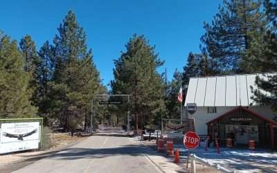 ¿Piensas visitar la Sierra de San Pedro Mártir? estas son las recomendaciones