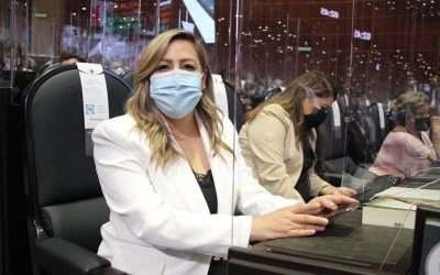 Exige PAN apoyo para campesinos, ganaderos y productores: Lizbeth Mata Lozano